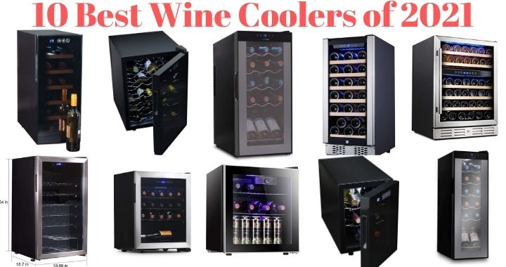 10 Best Wine Coolers of 2021