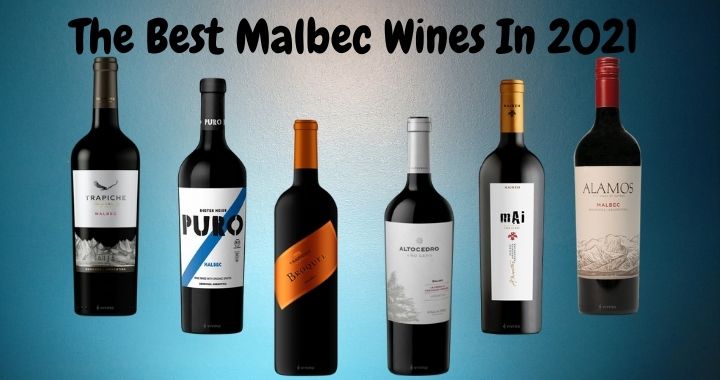 The Best Malbec Wines In 2021