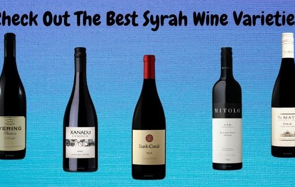 Check Out The Best Syrah Wine Varieties 