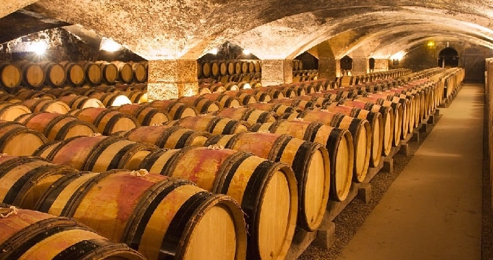 All You Need to Know About Wine Cellars